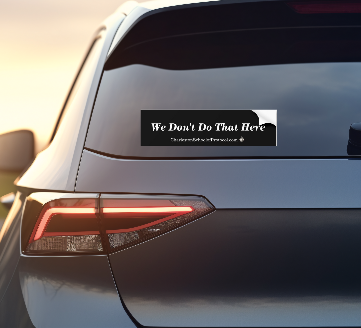 We Don't Do That Here Sticker - No We Don't